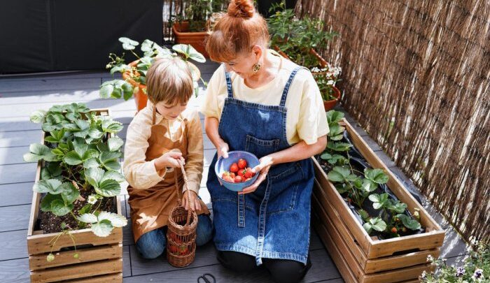 Jak stworzyć ogród, w którym każdy domownik znajdzie swoje miejsce